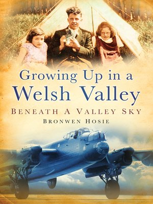 cover image of Growing Up in a Welsh Valley
